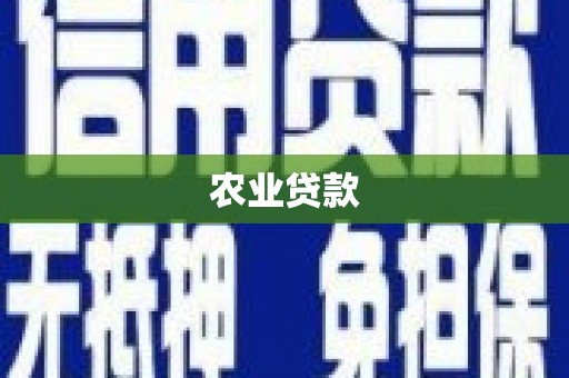 通海农业贷款