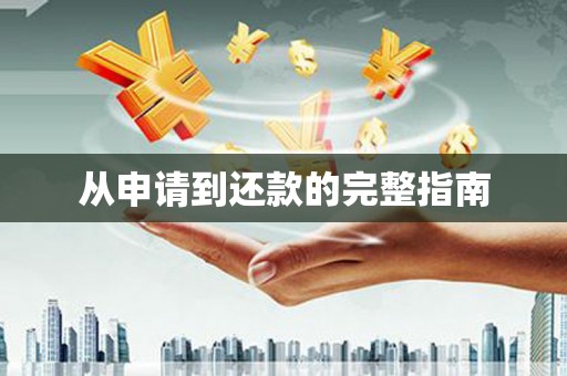 通海从申请到还款的完整指南