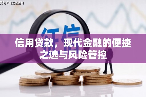 通海信用贷款，现代金融的便捷之选与风险管控