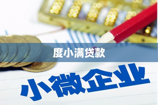 通海度小满贷款