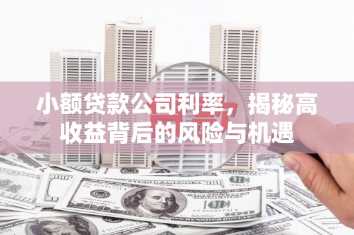 通海小额贷款公司利率，揭秘高收益背后的风险与机遇