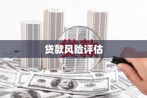 通海贷款风险评估