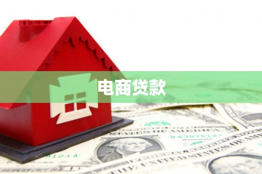 通海电商贷款