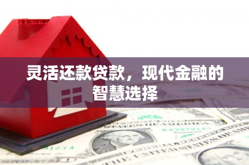 通海灵活还款贷款，现代金融的智慧选择