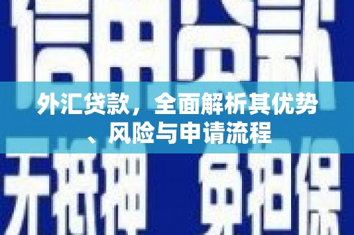 通海外汇贷款，全面解析其优势、风险与申请流程