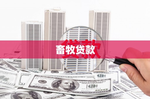 通海畜牧贷款
