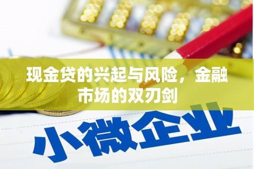 通海现金贷的兴起与风险，金融市场的双刃剑