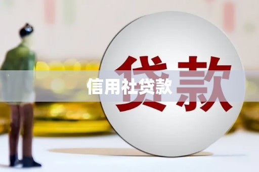 通海信用社贷款
