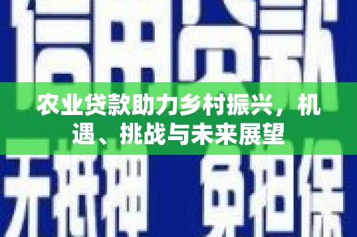 通海农业贷款助力乡村振兴，机遇、挑战与未来展望