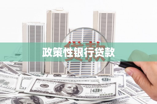 通海政策性银行贷款