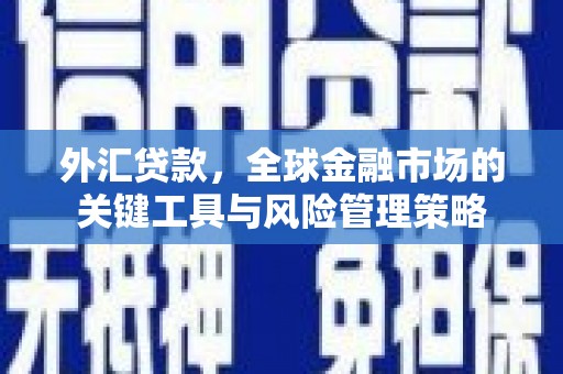 通海外汇贷款，全球金融市场的关键工具与风险管理策略