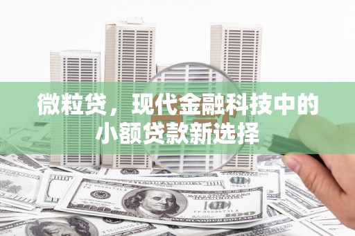 通海微粒贷，现代金融科技中的小额贷款新选择