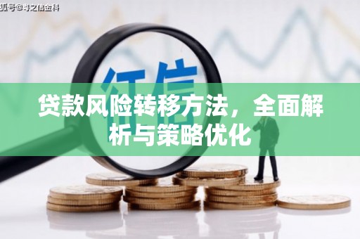 通海贷款风险转移方法，全面解析与策略优化