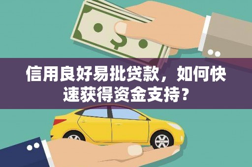 通海信用良好易批贷款，如何快速获得资金支持？