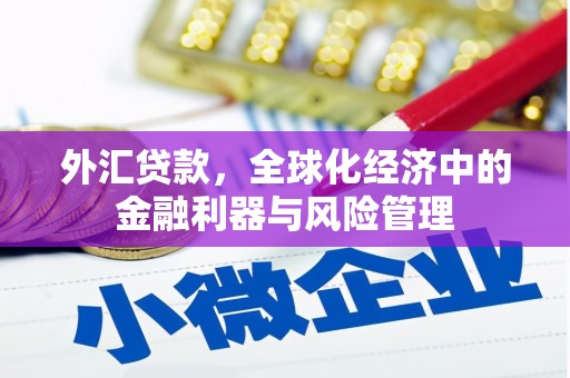 通海外汇贷款，全球化经济中的金融利器与风险管理