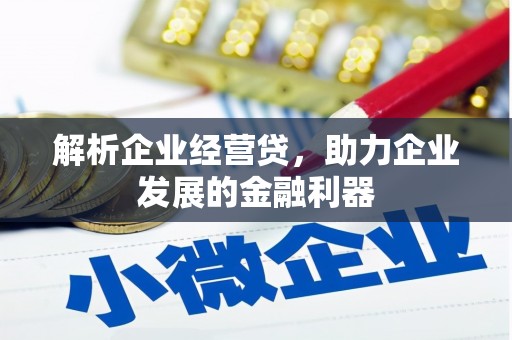 通海解析企业经营贷，助力企业发展的金融利器