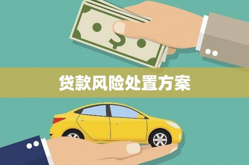 通海贷款风险处置方案