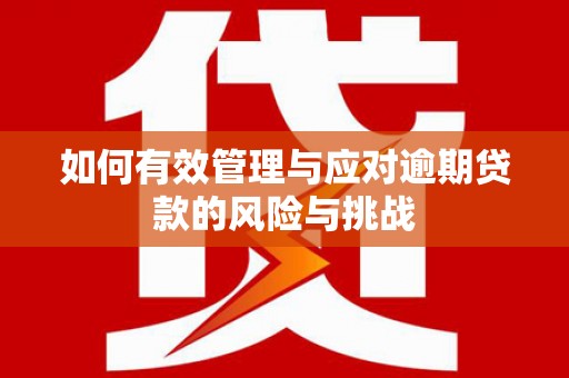 通海如何有效管理与应对逾期贷款的风险与挑战
