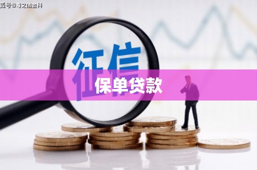 通海保单贷款
