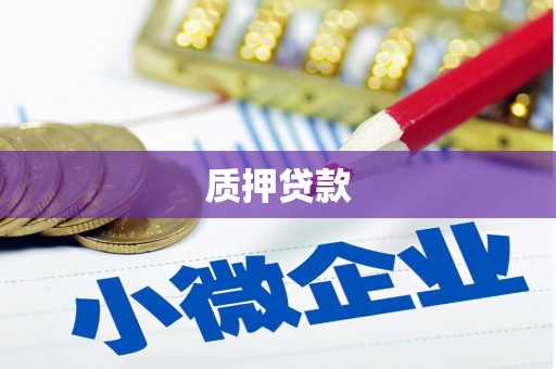 通海质押贷款