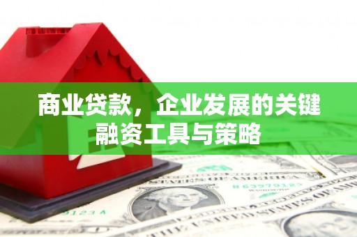 通海商业贷款，企业发展的关键融资工具与策略