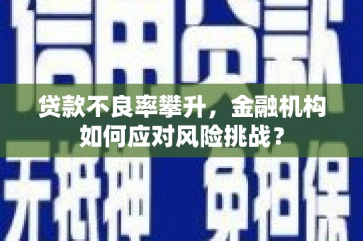 通海贷款不良率攀升，金融机构如何应对风险挑战？