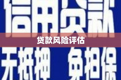 通海贷款风险评估