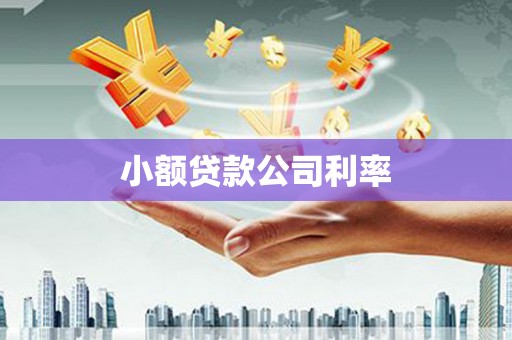 通海小额贷款公司利率