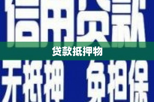 通海贷款抵押物