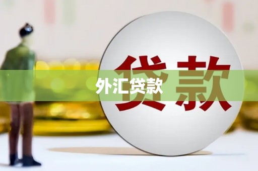 通海外汇贷款