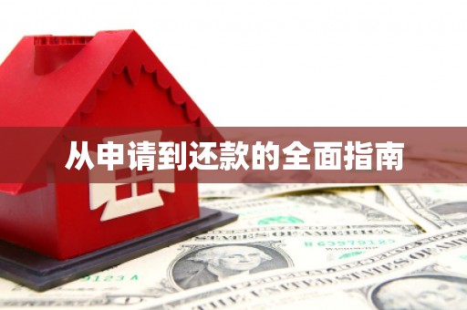 通海从申请到还款的全面指南