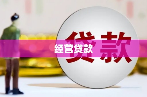 通海经营贷款