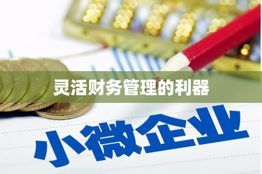 通海灵活财务管理的利器