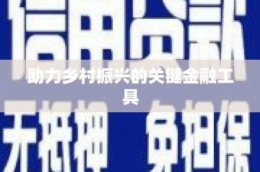 通海助力乡村振兴的关键金融工具