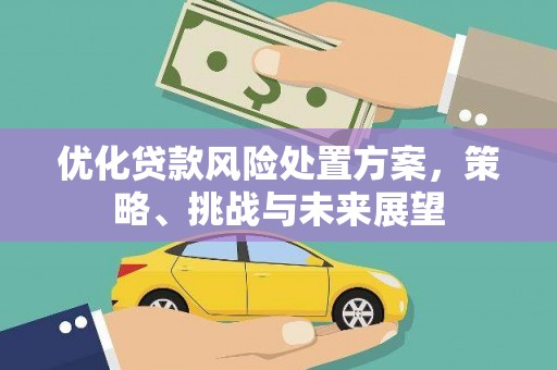 通海优化贷款风险处置方案，策略、挑战与未来展望