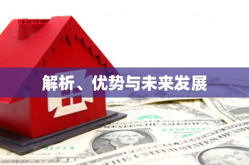 通海解析、优势与未来发展