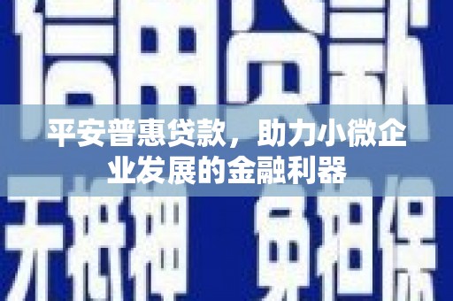 通海平安普惠贷款，助力小微企业发展的金融利器