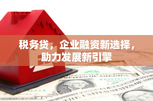 通海税务贷，企业融资新选择，助力发展新引擎