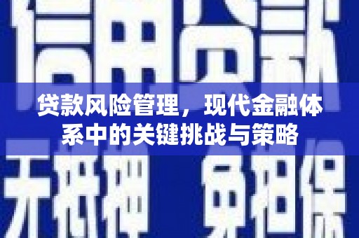 通海贷款风险管理，现代金融体系中的关键挑战与策略