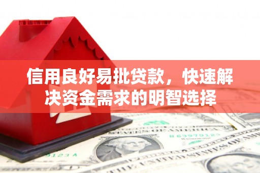 通海信用良好易批贷款，快速解决资金需求的明智选择