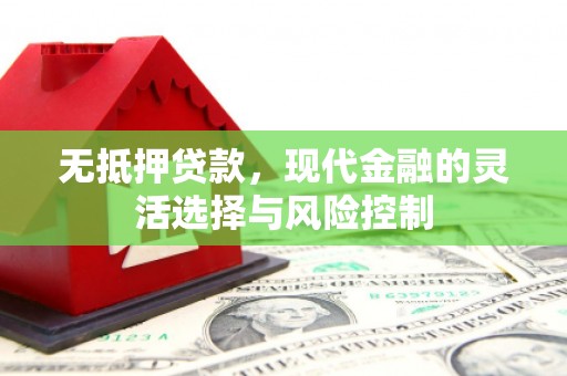 通海无抵押贷款，现代金融的灵活选择与风险控制
