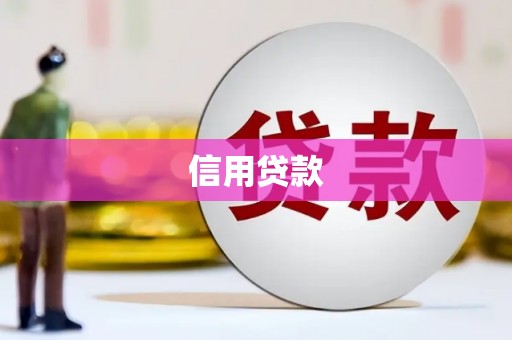 通海信用贷款