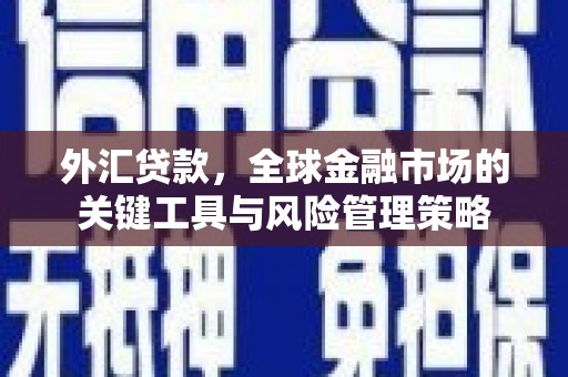 通海外汇贷款，全球金融市场的关键工具与风险管理策略