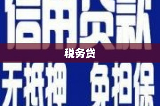 通海税务贷