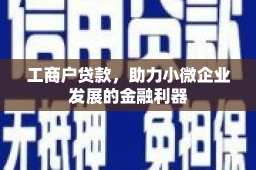 通海工商户贷款，助力小微企业发展的金融利器