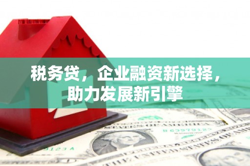 通海税务贷，企业融资新选择，助力发展新引擎