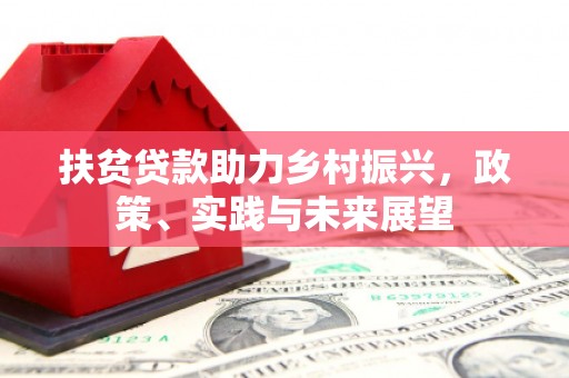 通海扶贫贷款助力乡村振兴，政策、实践与未来展望