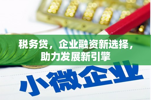 通海税务贷，企业融资新选择，助力发展新引擎