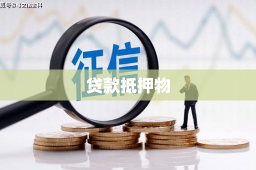 通海贷款抵押物