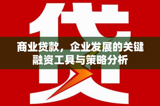 通海商业贷款，企业发展的关键融资工具与策略分析